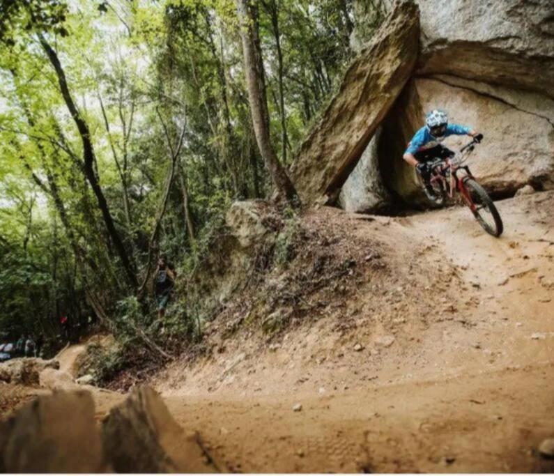 Nido Tra Gli Ulivi Apartamento Finale Ligure Exterior foto